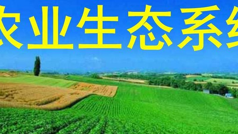 上海果蔬配送公司报价明细：揭秘背后的行业逻辑