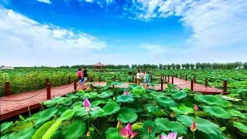 温室土壤湿度控制参数标准解析