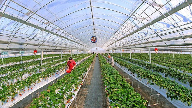农业项目申报材料编写：关键步骤与要点解析