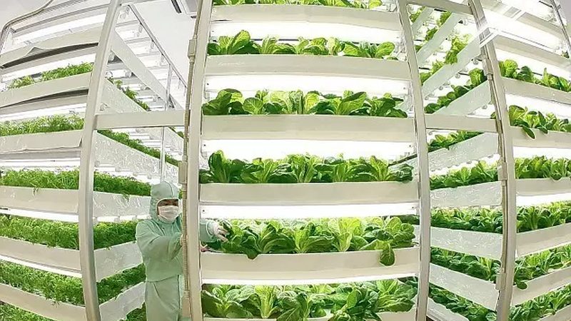 绿色食品认证现场检查怎么做
