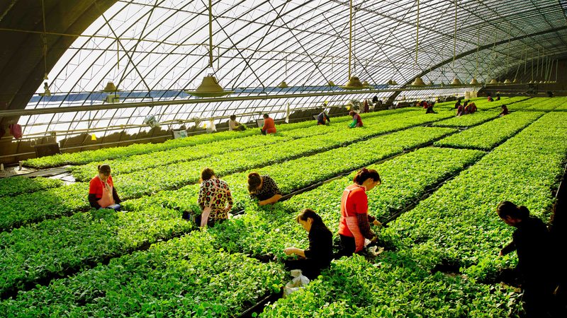 果蔬配送中心冷链设备报价