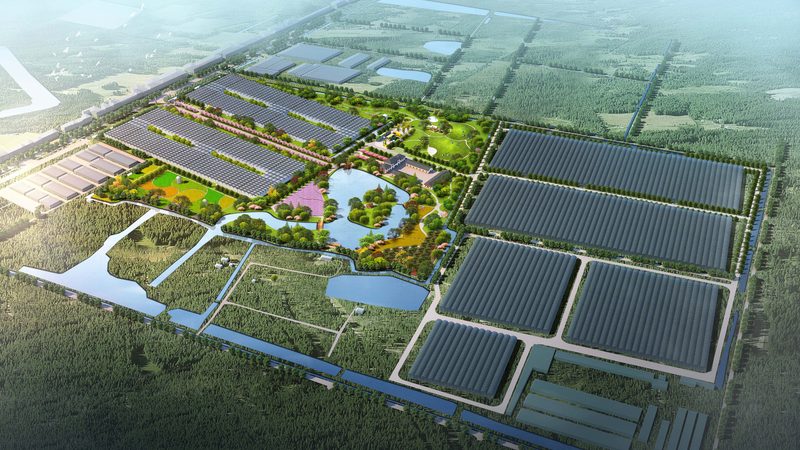 农产品配送系统：构建高效供应链的秘密武器