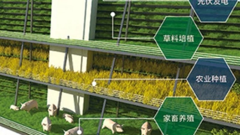 成都农业合作社：多元发展，助力乡村振兴