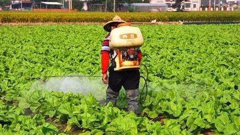 农资经营资质审批的四个关键门槛