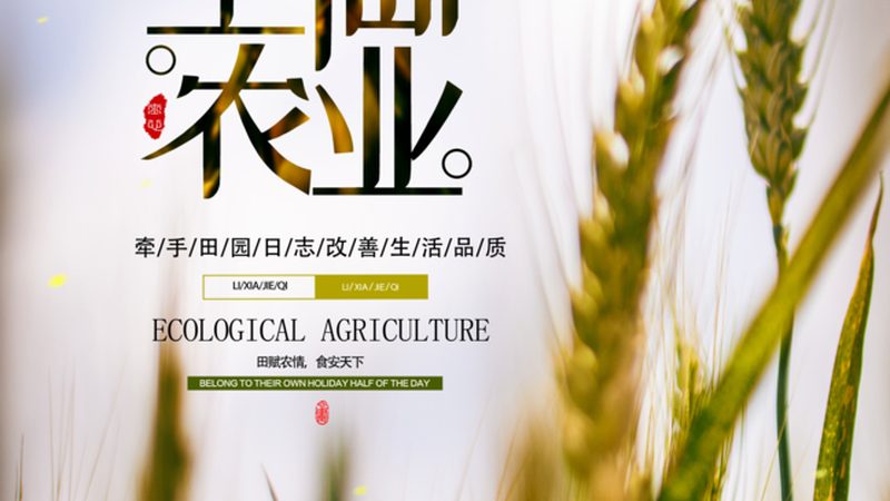 生鲜分拣加盟代理：揭秘生鲜行业高效运营之道